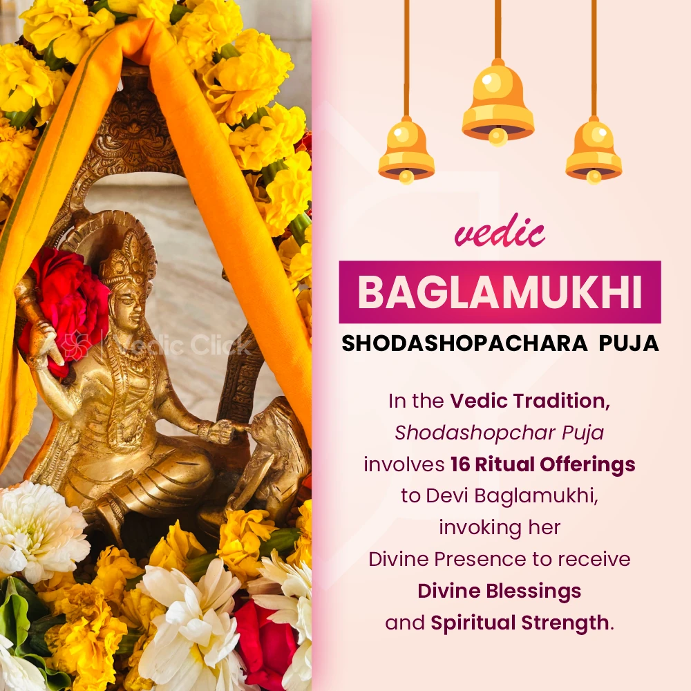 Online Baglamukhi Shodashopachara Puja and Havan, Online Baglamukhi Havan